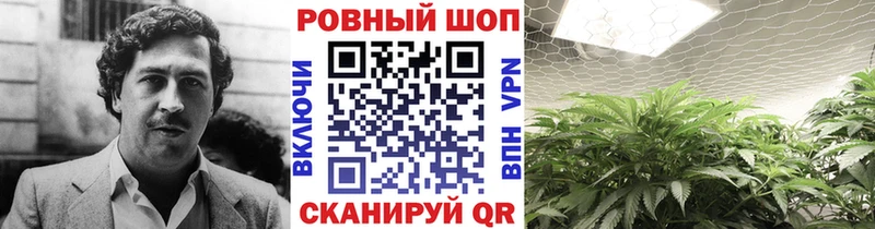 Где найти наркотики Невьянск mega онион Меф мяу мяу АМФ ГАШ Бошки Шишки