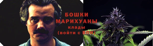ешки Алзамай