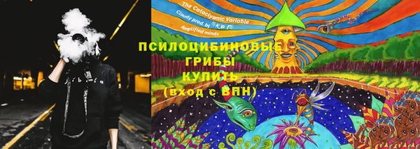 винт Алексеевка