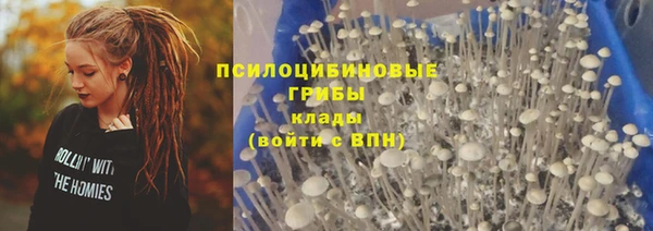 ешки Алзамай
